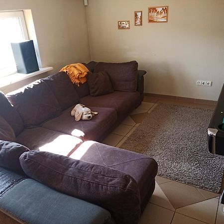 Apartament Vilnius Cat Friendly Zewnętrze zdjęcie